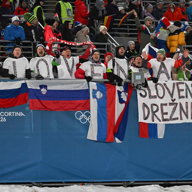 Slovenski navijači