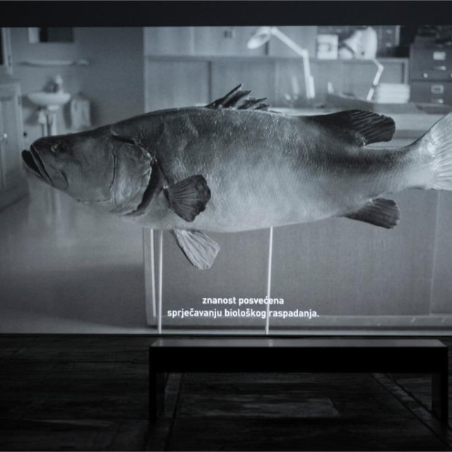 Koreografija nasilja, Jelena Jureša