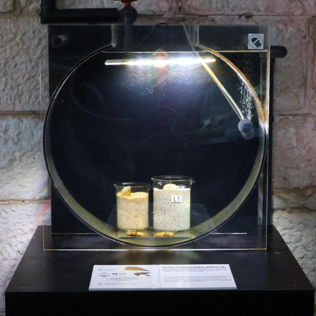 Aquarium Pula