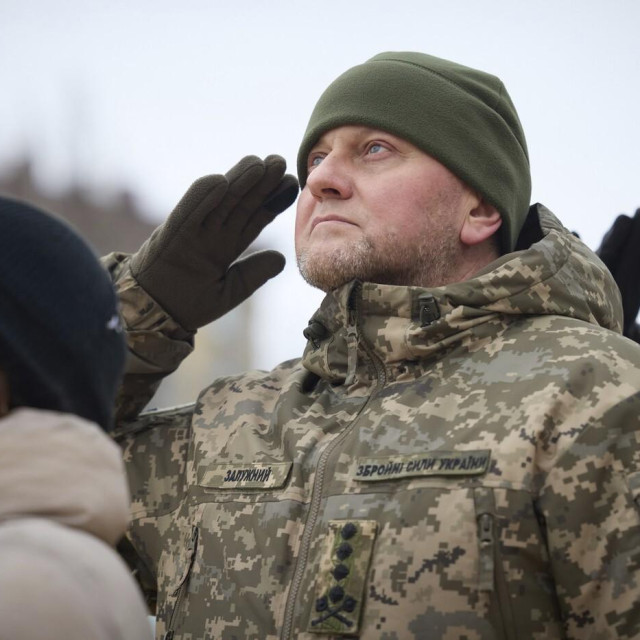 Valerij Zalužni