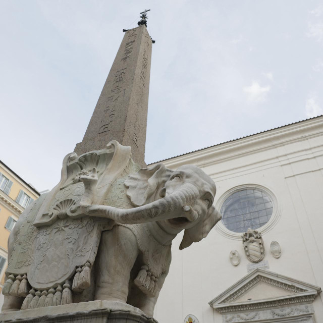 Elefantino, Piazza della Minerva