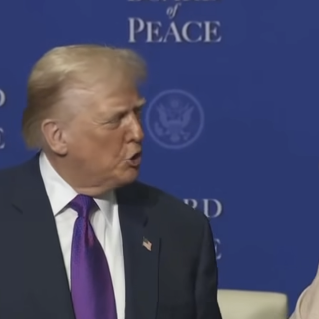 Donald Trump i Dubravka Šuica