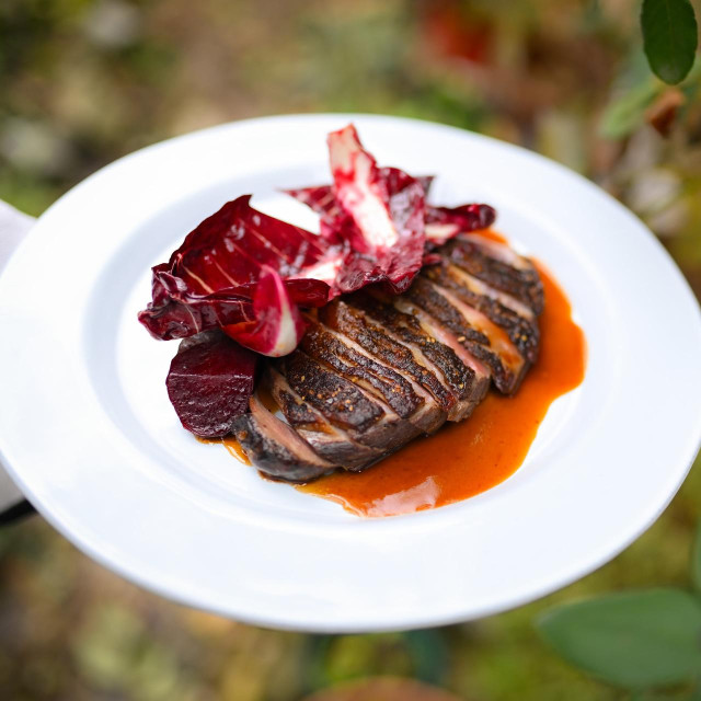 Pačja prsa s ciklom, radičem i jusom