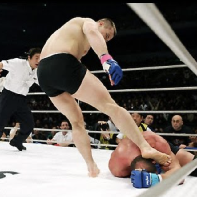 Mirko ”Cro Cop” Filipović vs. Mark Coleman | PRIDE 29