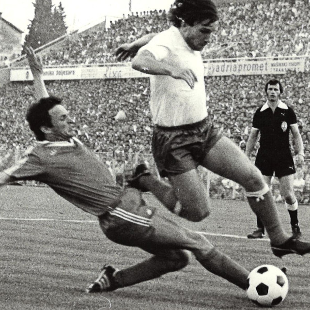 Nenad Šalov Hajduk