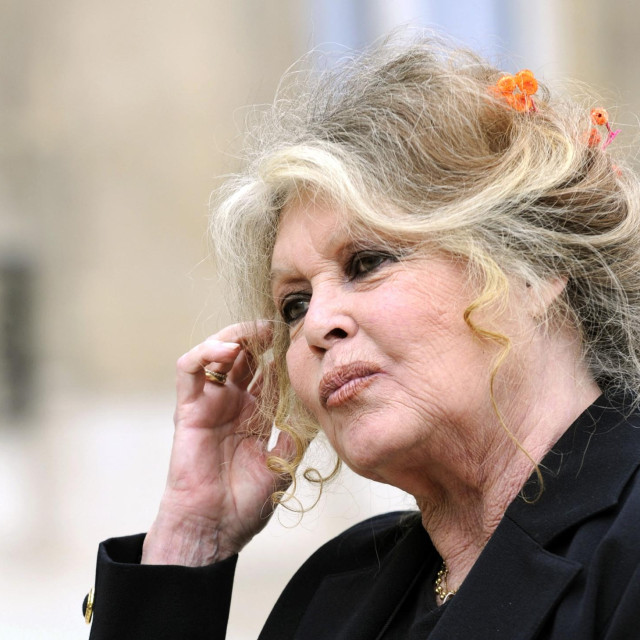 Brigitte Bardot 