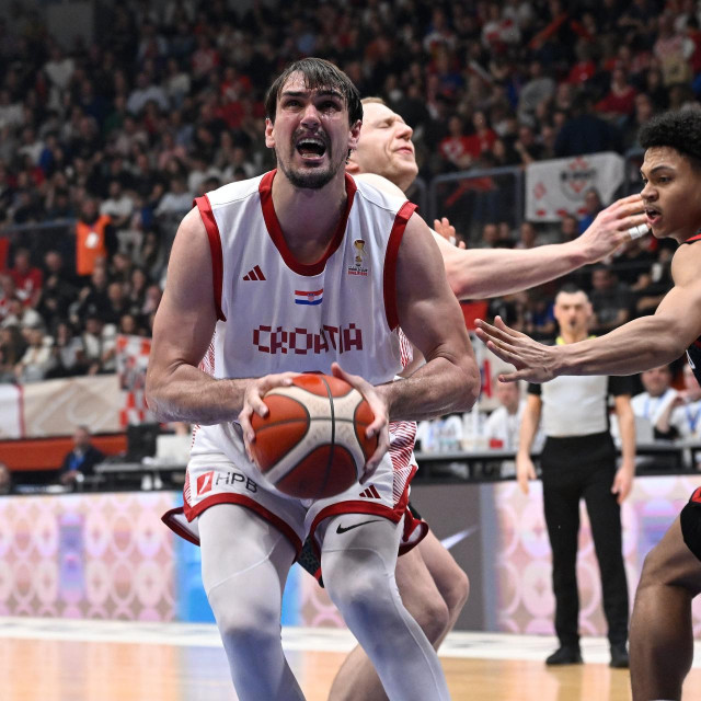Hrvatska - Njemačka: Dario Šarić, Jack Kayil