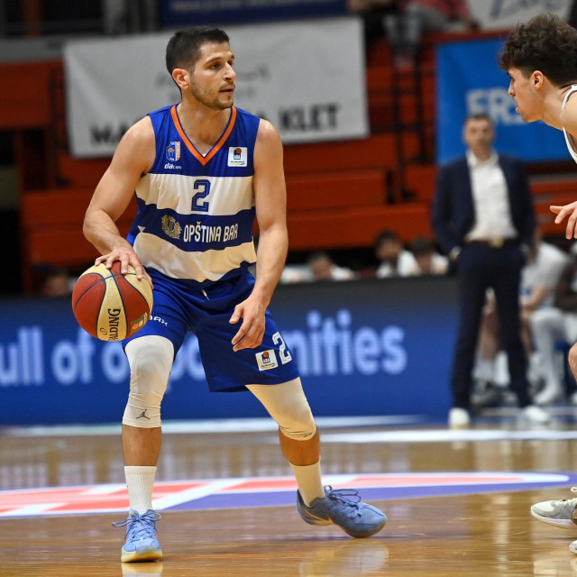 Roko Rogić
