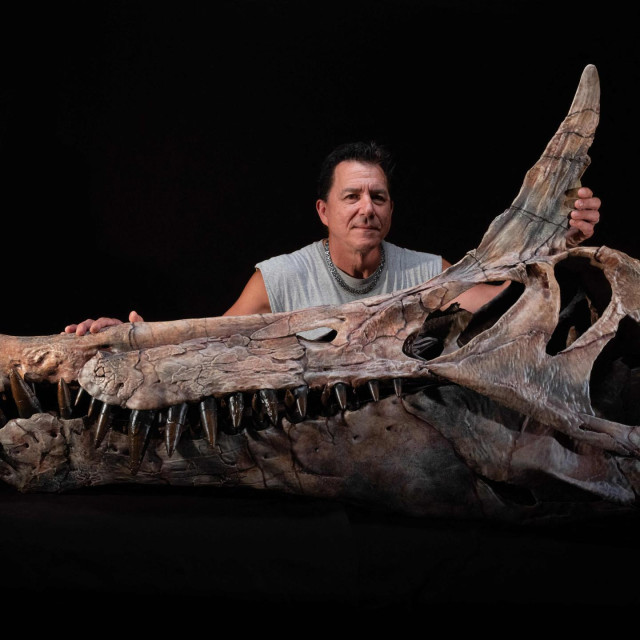 Paul Sereno i ostaci lubanje Spinosaurus mirabilis