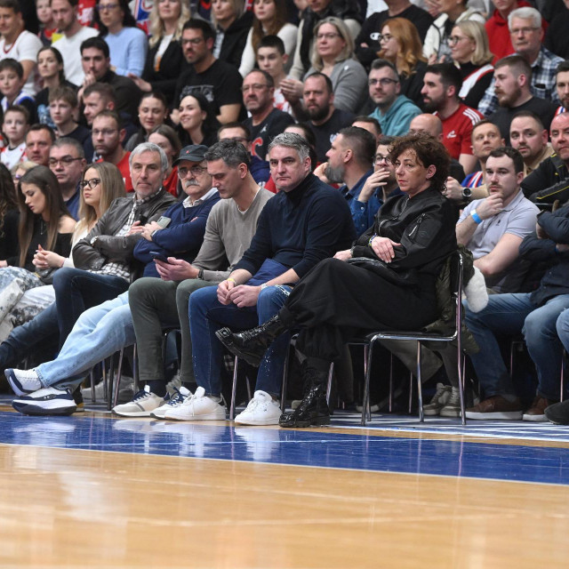 Damir Mulaomerović uz parket na utakmici Hrvatske i Njemačke u Draženovu domu