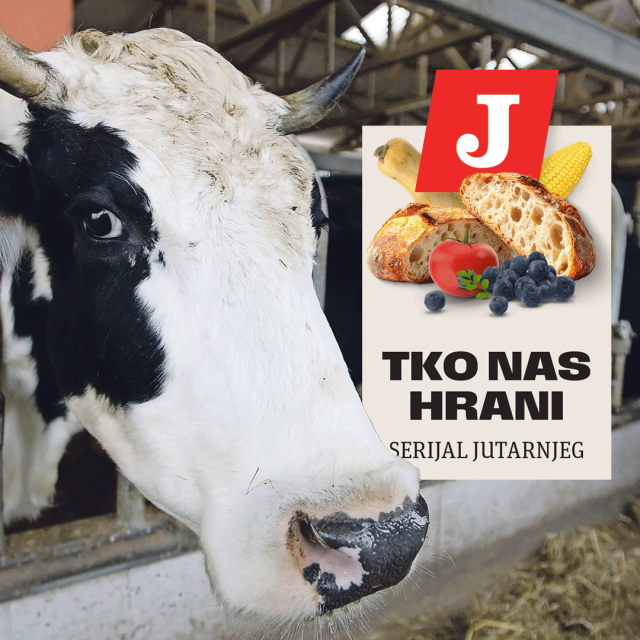 Analitičari predviđaju da će 2026. biti godina ‘preživljavanja najjačih proizvođača‘ i duboke transformacije sektora