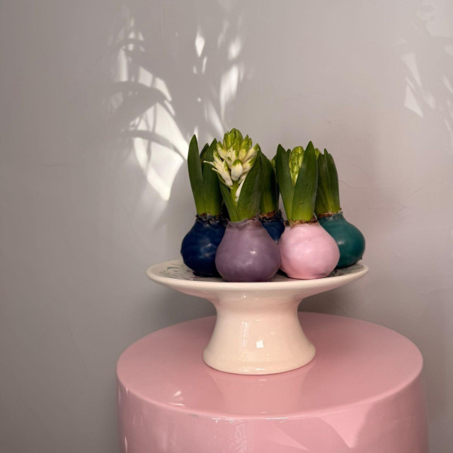 Zumbuli u vosku preplavili su društvene mreže posljednjih dana