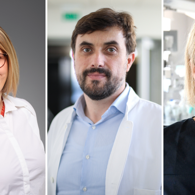 Nadira Duraković, Filip Sedlić, Iva Bilić Čače