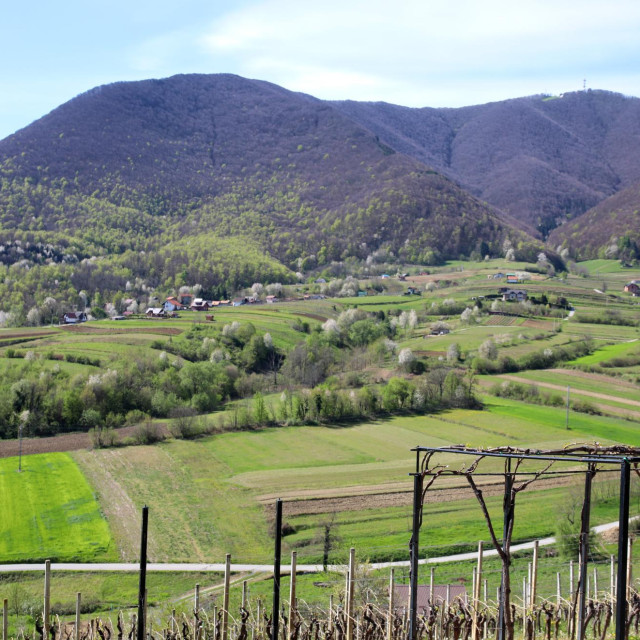 Ivanščica