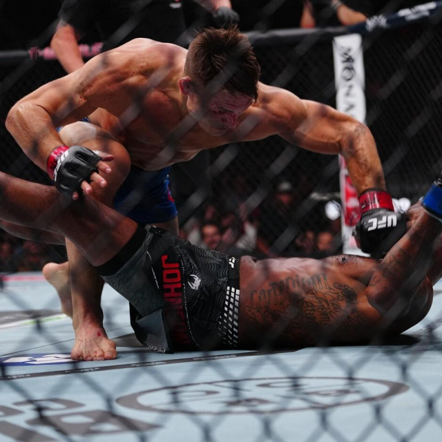Drew Dober vs. Michael Johnson (donji)