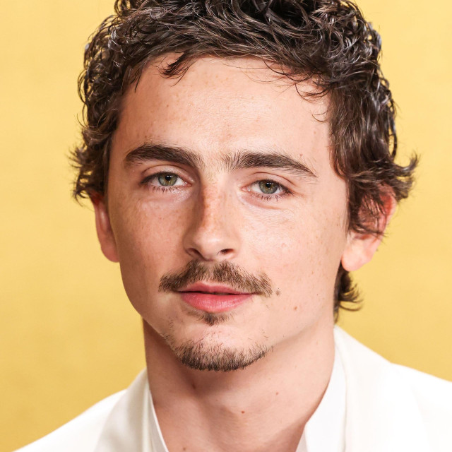 Timothée Chalamet