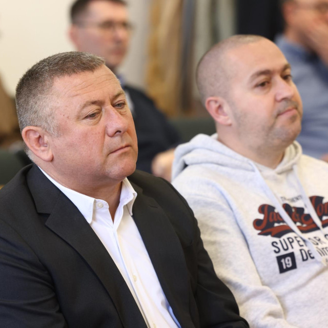Damir Dekanić, Krešimir Bičanić
