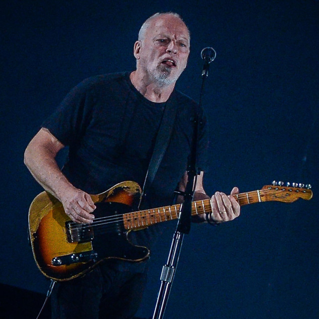 David Gilmour