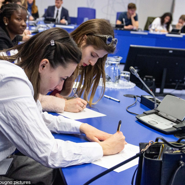 AIESEC-a u Austriji