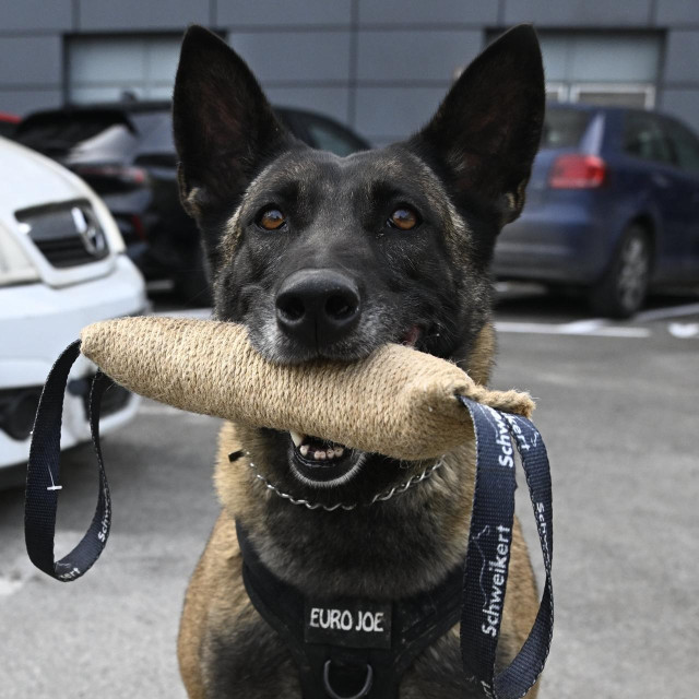 Policijski pas Rea