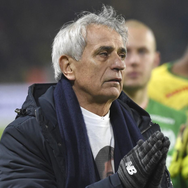 Vahid Halihodžić (2019.)
