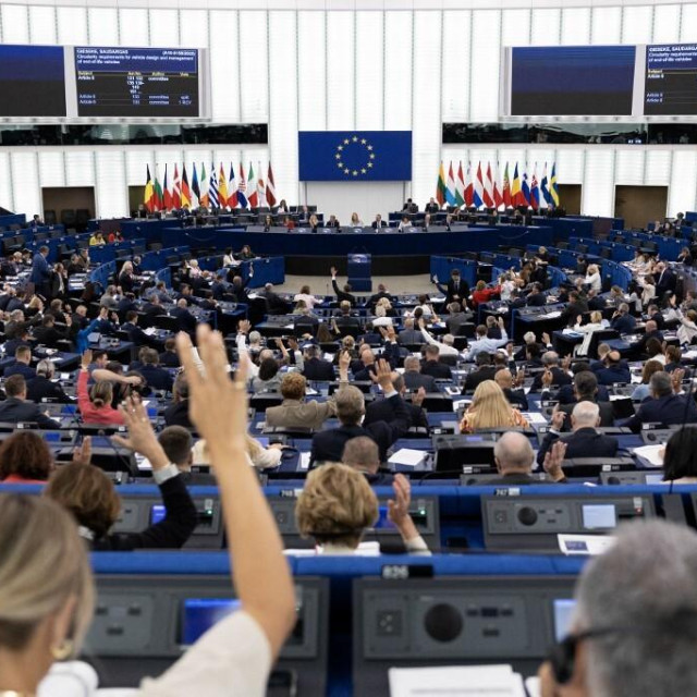 Glasovanje u Europskom parlamentu