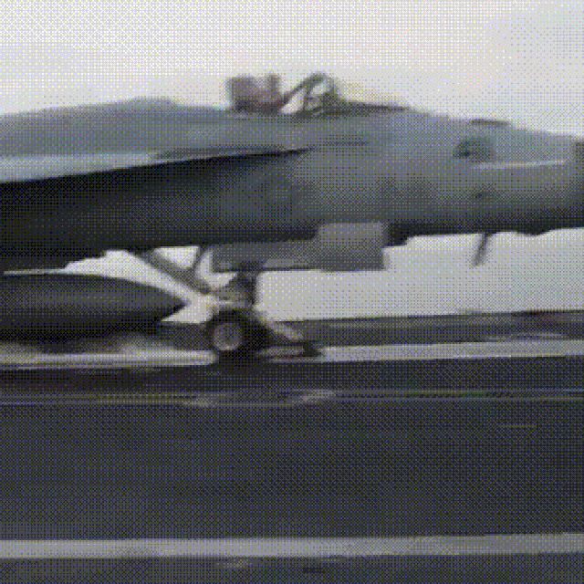 38549261