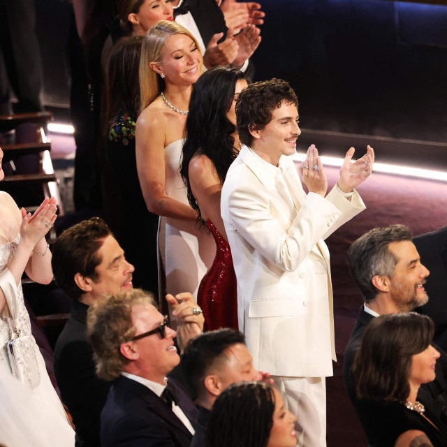 Priyanka Chopra, Nick Jonas, Elle Fanning, Rose Byrne, Benicio del Toro, Gwyneth Paltrow i Timothée Chalamet