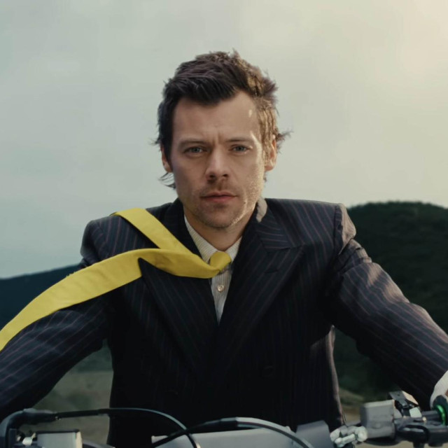 Harry Styles 