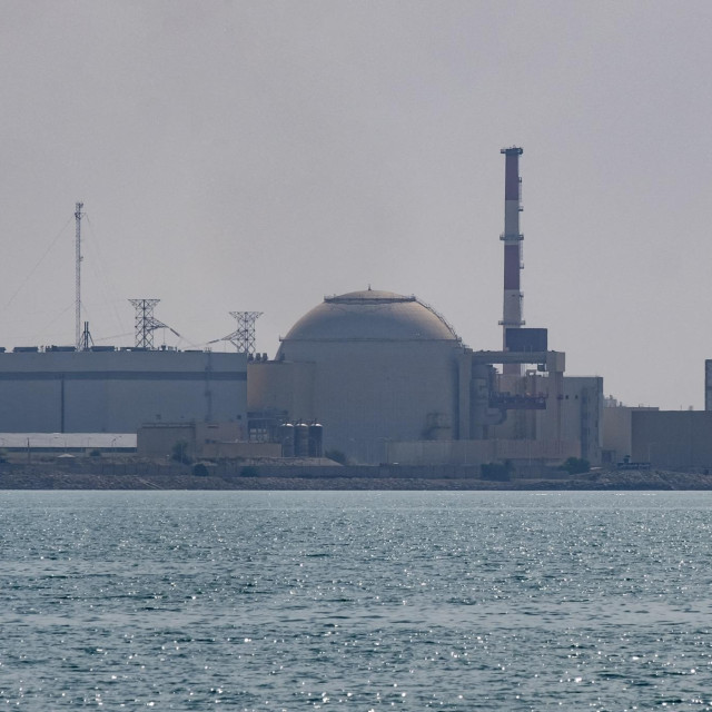 Nuklearna elektrana Bušer