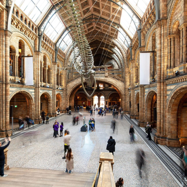 Prirodoslovni muzej u Londonu (eng. Natural History Museum, NHM) 
