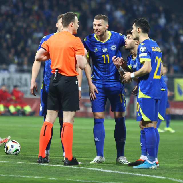 Edin Džeko igrao je na SP-u 2014.