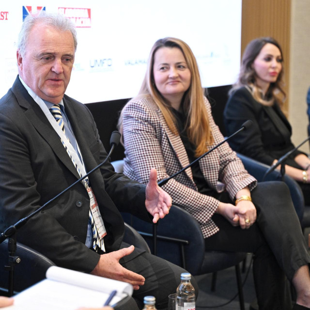 Veljko Ostojić, Ivana Budin Arhanić, Andreja Vukojević, Valentin Rottger