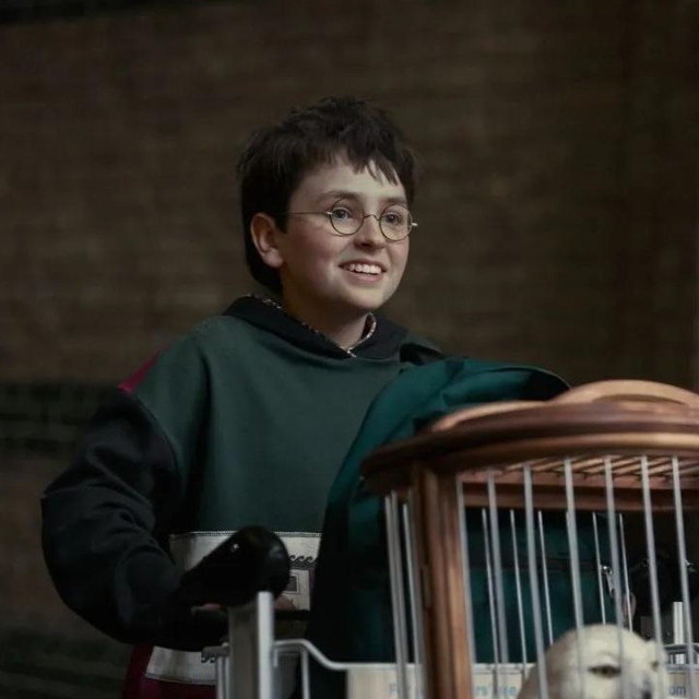 Dominic McLaughlin kao Harry Potter