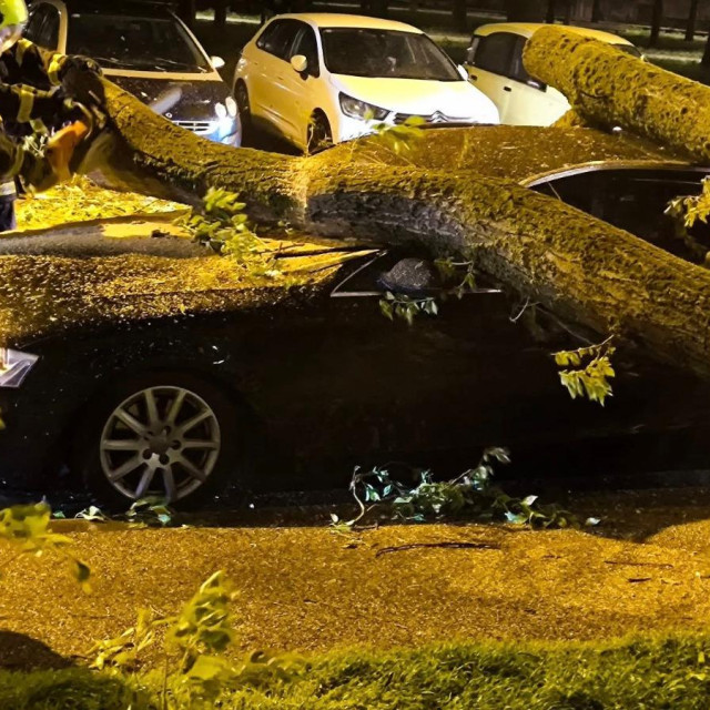 Stablo se u Dugavama srušilo na Audi