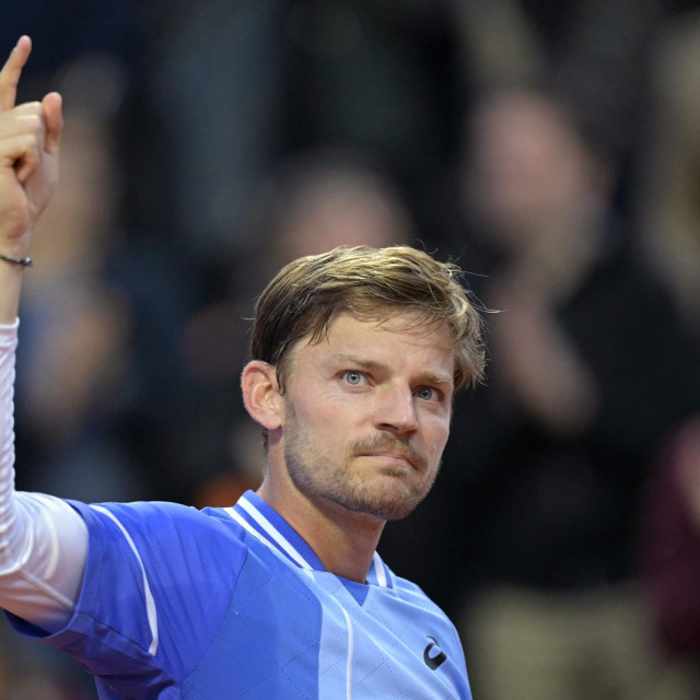 David Goffin