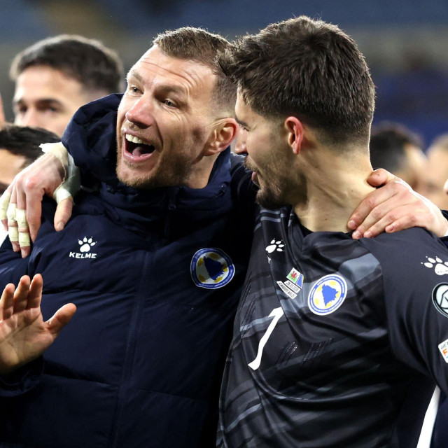 Edin Džeko, Nikola Vasilj 