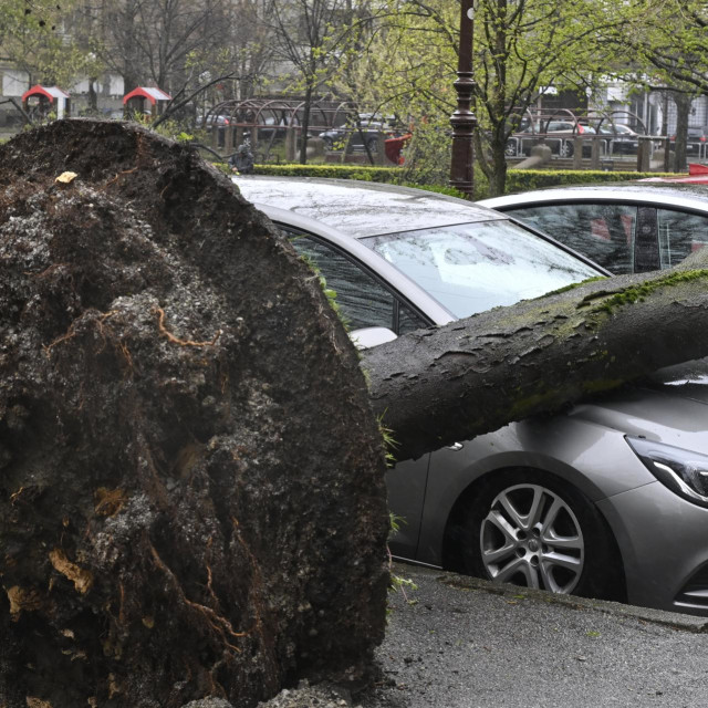 Posljedice olujnog vjetra u Zagrebu, stablo oštetilo više automobila na parkiralištu kod parka Bartola Kašića na Kvatriću
