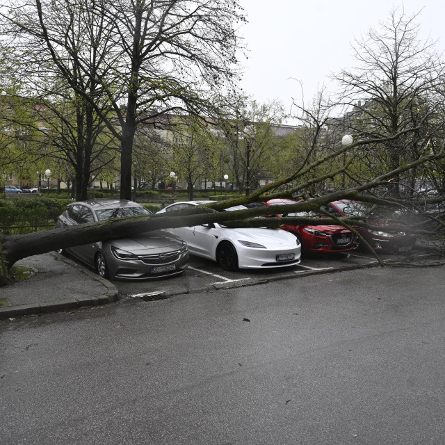 Stablo je oštetilo više automobila na parkingu kod parka Bartola Kašića na Kvatriću