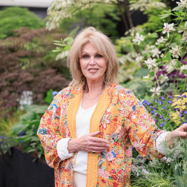 Joanna Lumley