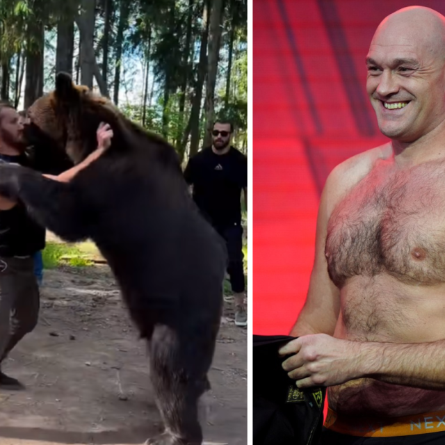Makhmudov hrva s medvjedom |Tyson Fury
