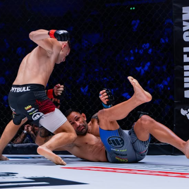 Andrija Stanković vs. Zoran Šolaja