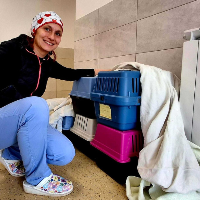Veterinarka Ivana Ivoš s mačkama koje čekaju sterilizaciju
 