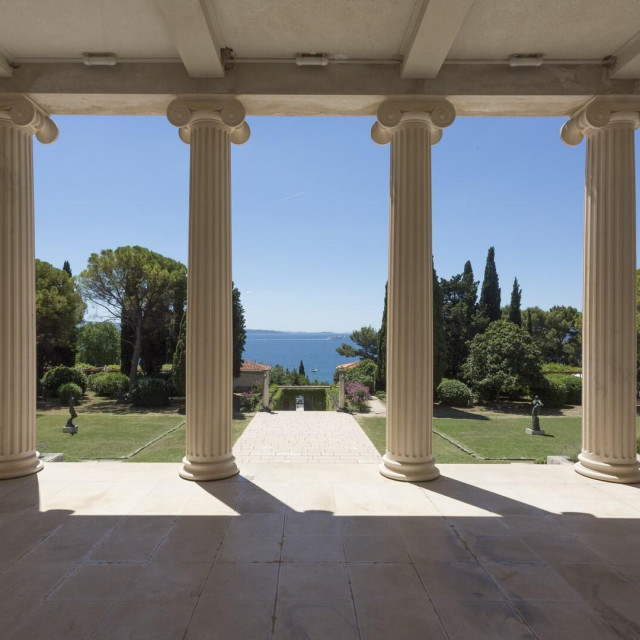38755614