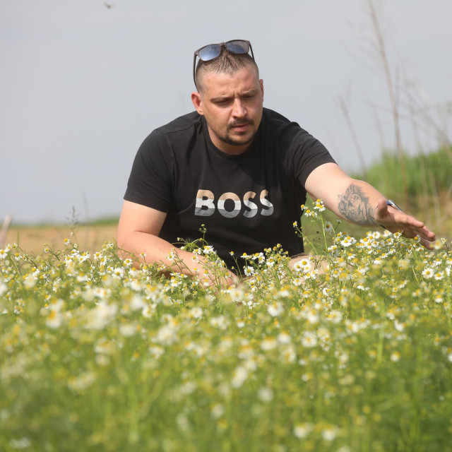 Filip Premužić