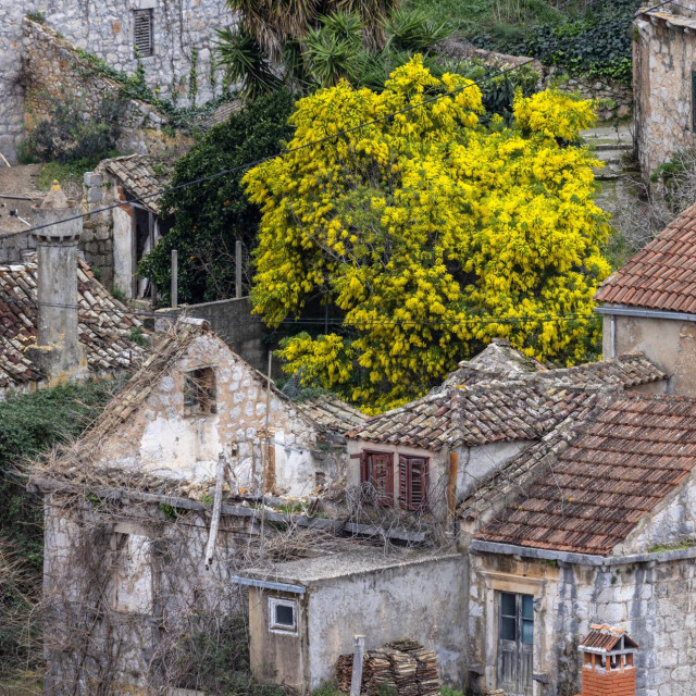 Lastovo
 