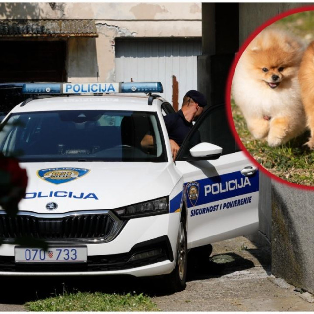 Igra s psom prerasla u nasilni incident a pozvana je i policija