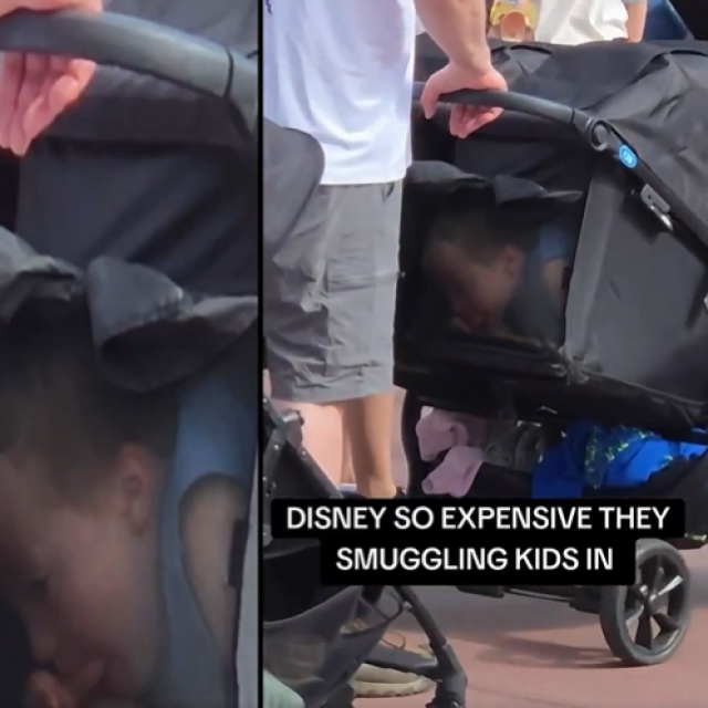 Potajno uveli dijete u Disneyland