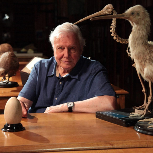 David Attenborough