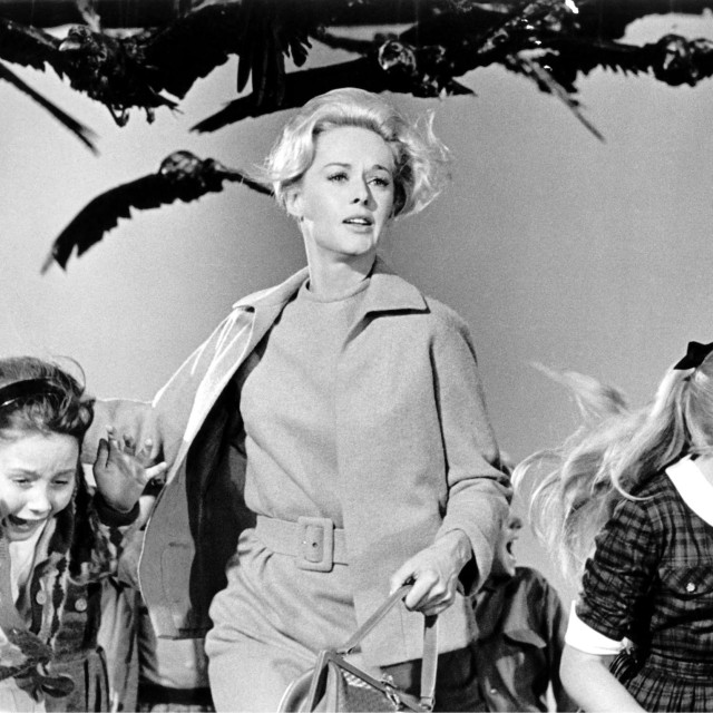 Tippi Hedren glumila je glavnu žensku ulogu u filmu ”Ptice”